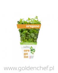 oregano