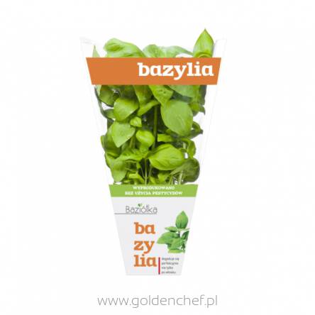  bazylia